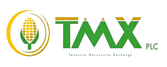 TMX Logo