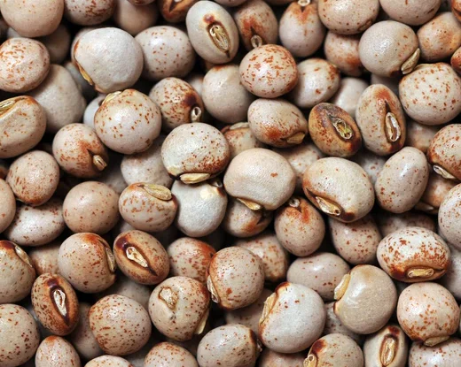 Pigeon peas