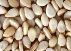 Sesame Seeds