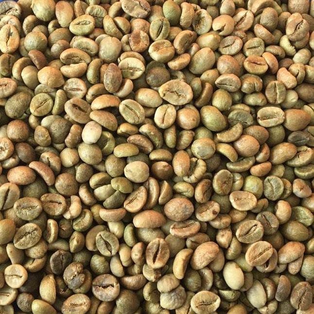 Coffee-Robusta Clean